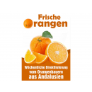 Orangen erntefrisch und reif ca. 10kg