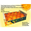 Orangen erntefrisch und reif ca. 10kg