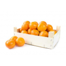 Clementinen erntefrisch und reif ca. 5kg